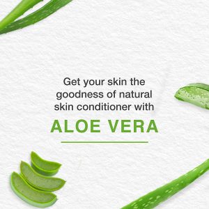 Himalaya Aloe Vera Gel Face & Body Moisturize